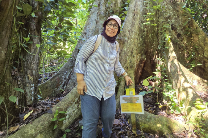Pada 15 April 2025, Komisi Eropa menerbitkan dokumen panduan terbaru, Frequently Asked Questions (FAQ) versi 4, serta proposal Delegated Act untuk memperjelas dan menyederhanakan penerapan European Union Deforestation-Free Regulation (EUDR).