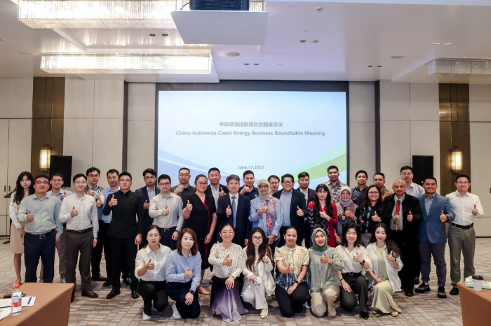 China Dianggap Mitra Kunci dalam Pembangunan Energi Terbarukan Indonesia