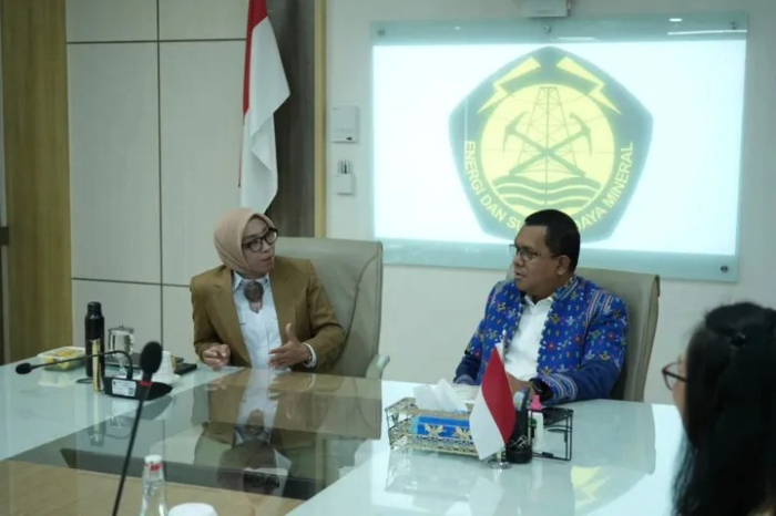 Gubernur NTT dorong kerja sama dengan ESDM dan PLN untuk percepat pengembangan energi terbarukan seperti surya, angin, dan geotermal di NTT.