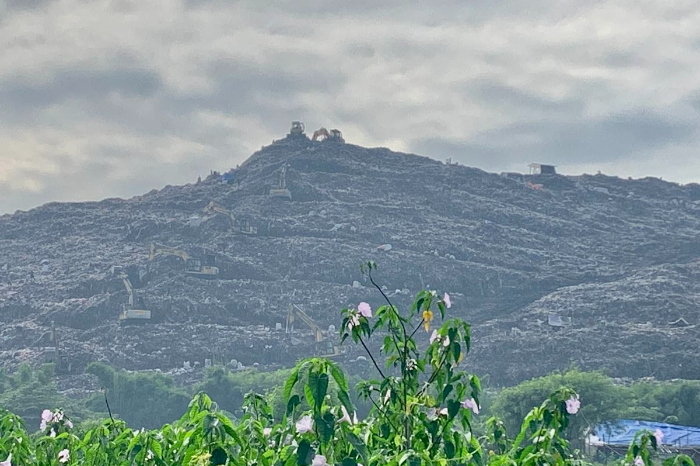 Tegakkan EPR: Kebijakan tanggung jawab produsen harus ditegakkan untuk memastikan produsen mendanai daur ulang kemasan atau mendesain ulang produknya agar lebih ramah lingkungan.