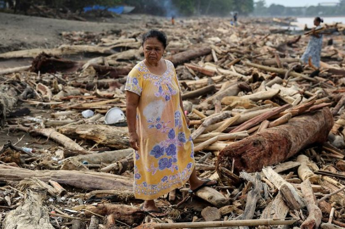 Investigasi Panas Kemenhut: Moratorium SIPuHH Diberlakukan Usai Ribuan Meter Kubik Kayu Ilegal Terungkap