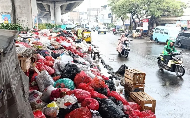 Berdasarkan pantauan di lokasi, tumpukan sampah terlihat di lebih dari enam titik di ruas Jalan Dewi Sartika. Kondisi terparah dan paling mengkhawatirkan berada di kolong flyover Ciputat. Area ini dipenuhi buntalan-buntalan plastik warna-warni berisi limbah rumah tangga dan dagang.