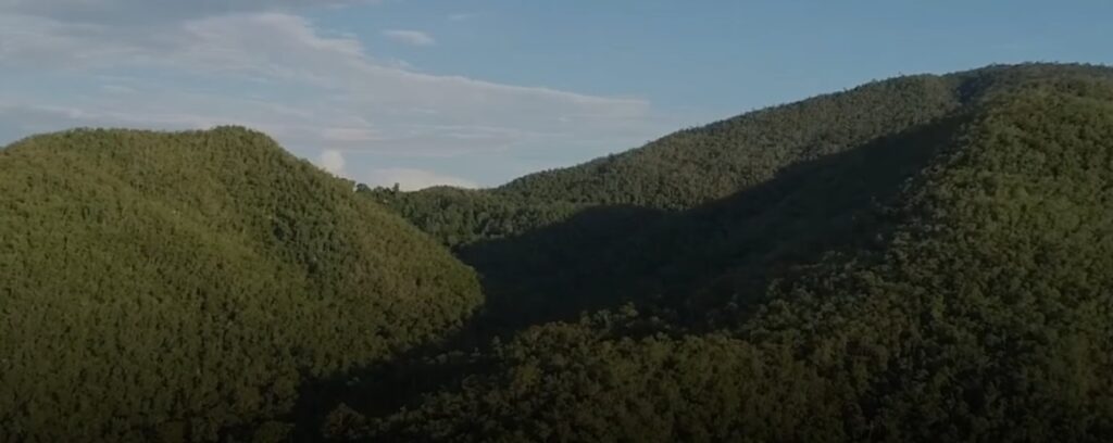 "Tak lagi cuma mengandalkan APBN, nasib hutan dan satwa liar Indonesia kini melirik skema 'Biodiversity Credit'. Benarkah ini solusi ampuh untuk konservasi mandiri? Intip proyek percontohannya di Way Kambas!"