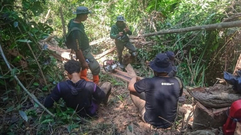 Gakkumhut Sulawesi menetapkan dua tersangka pembalakan liar di TWA Mangolo Kolaka dengan ancaman hukuman 15 tahun penjara.