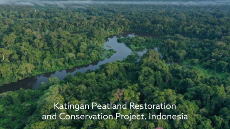 Ekonomi karbon membuka peluang baru bagi Indonesia melalui perdagangan karbon, investasi hijau, lapangan kerja dan pembangunan rendah emisi.